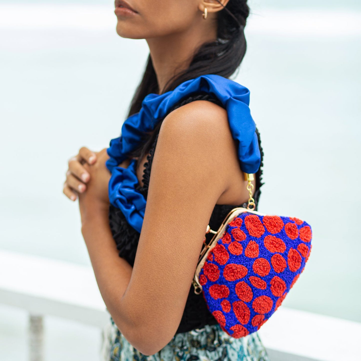 ARNOLDI Mandy Hand-beaded Clutch, in Savoy Blue & Red